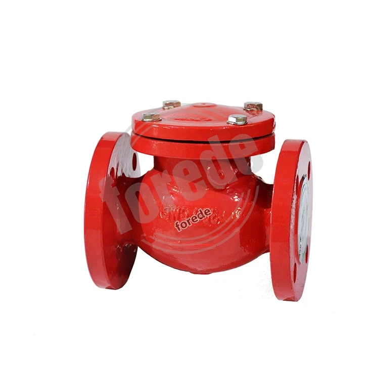 PN16 Ductile Iron Flange Type Swing Check Valve