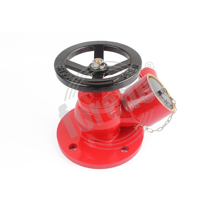 Landing Valve Fire Hydrant