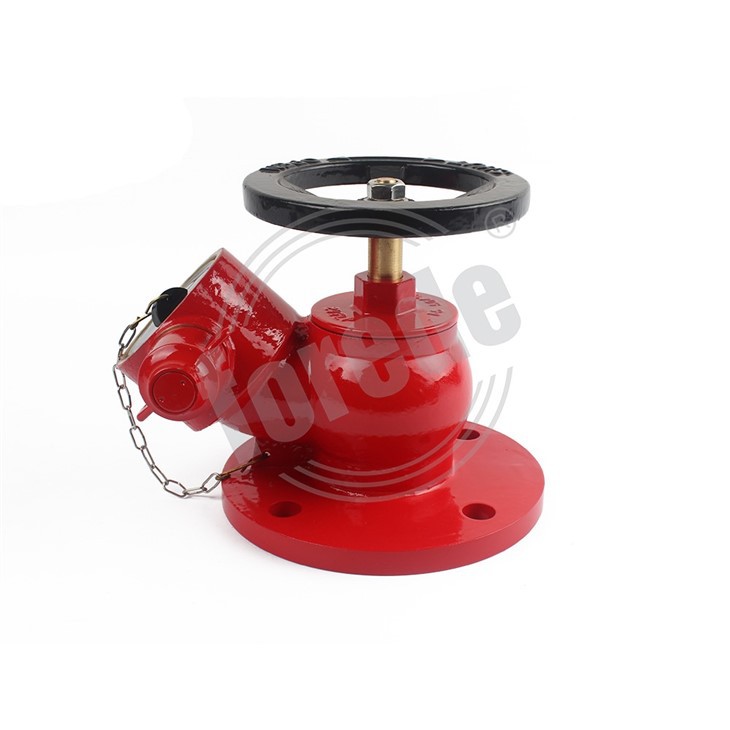 Landing Valve Fire Hydrant