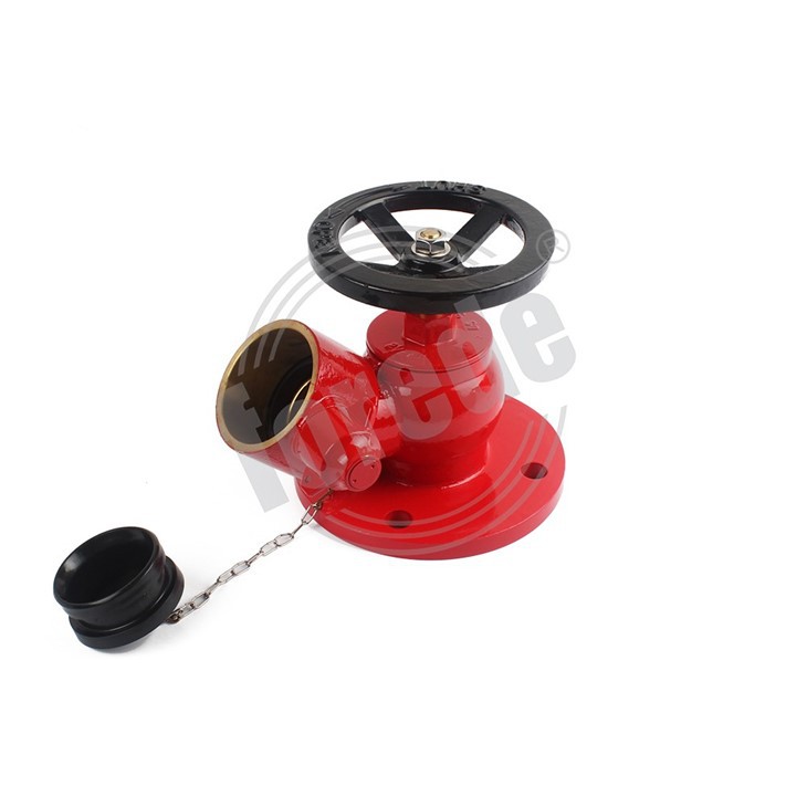 Landing Valve Fire Hydrant